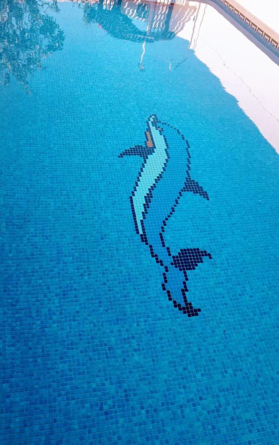 Flamingo Vila Alicante 圣佩德罗－德尔皮纳塔尔 外观 照片