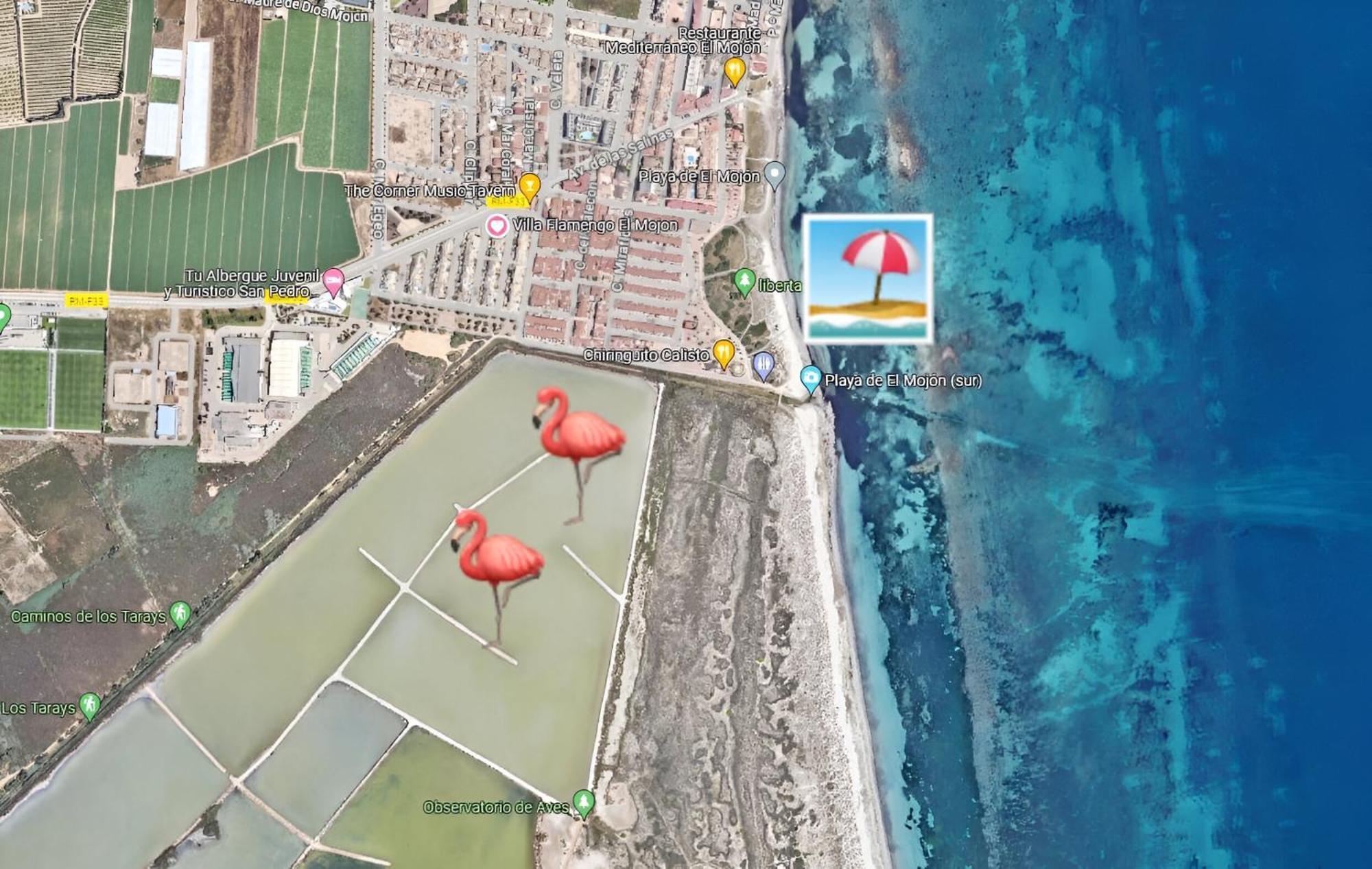 Flamingo Vila Alicante 圣佩德罗－德尔皮纳塔尔 外观 照片