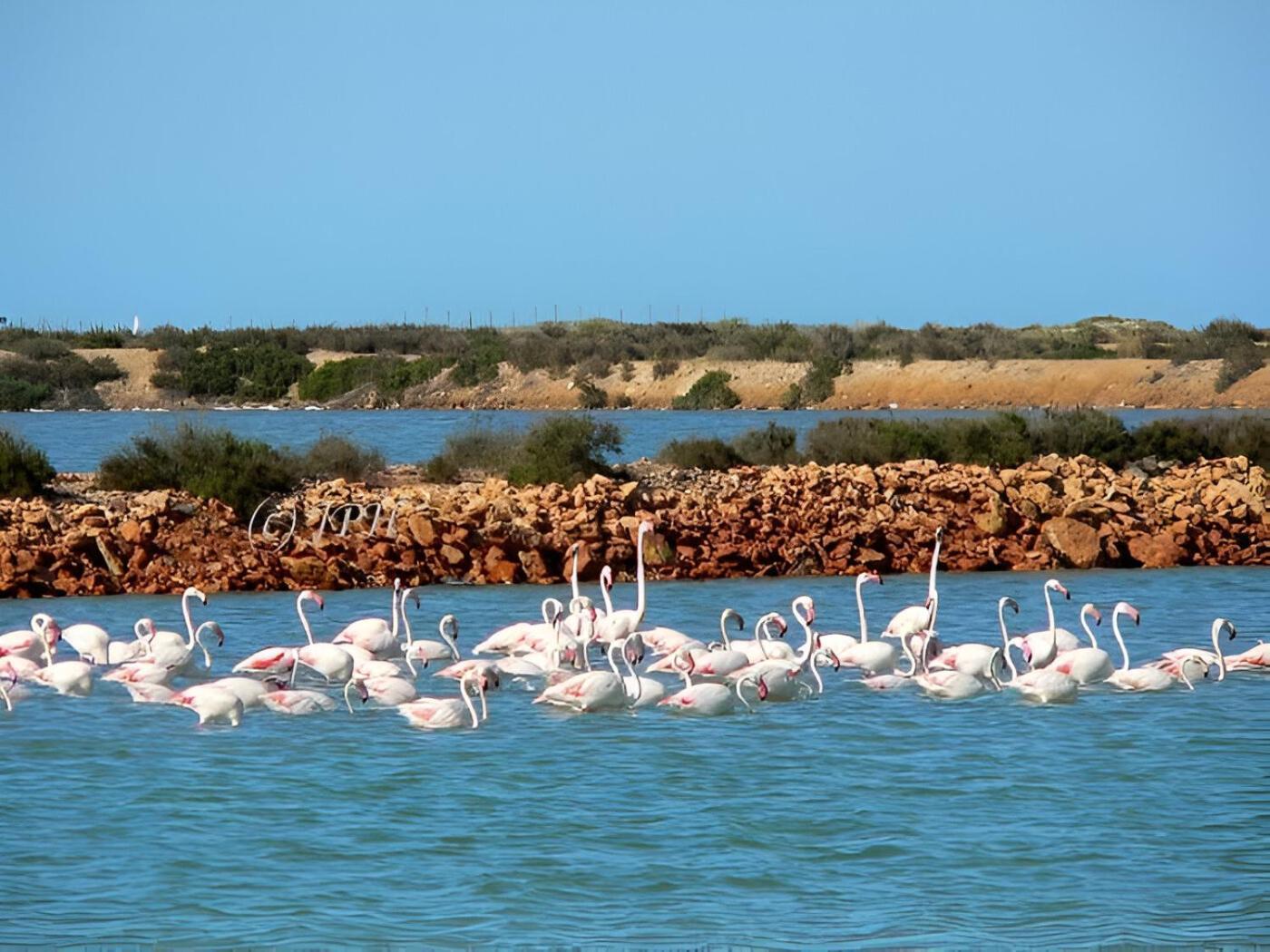 Flamingo Vila Alicante 圣佩德罗－德尔皮纳塔尔 外观 照片