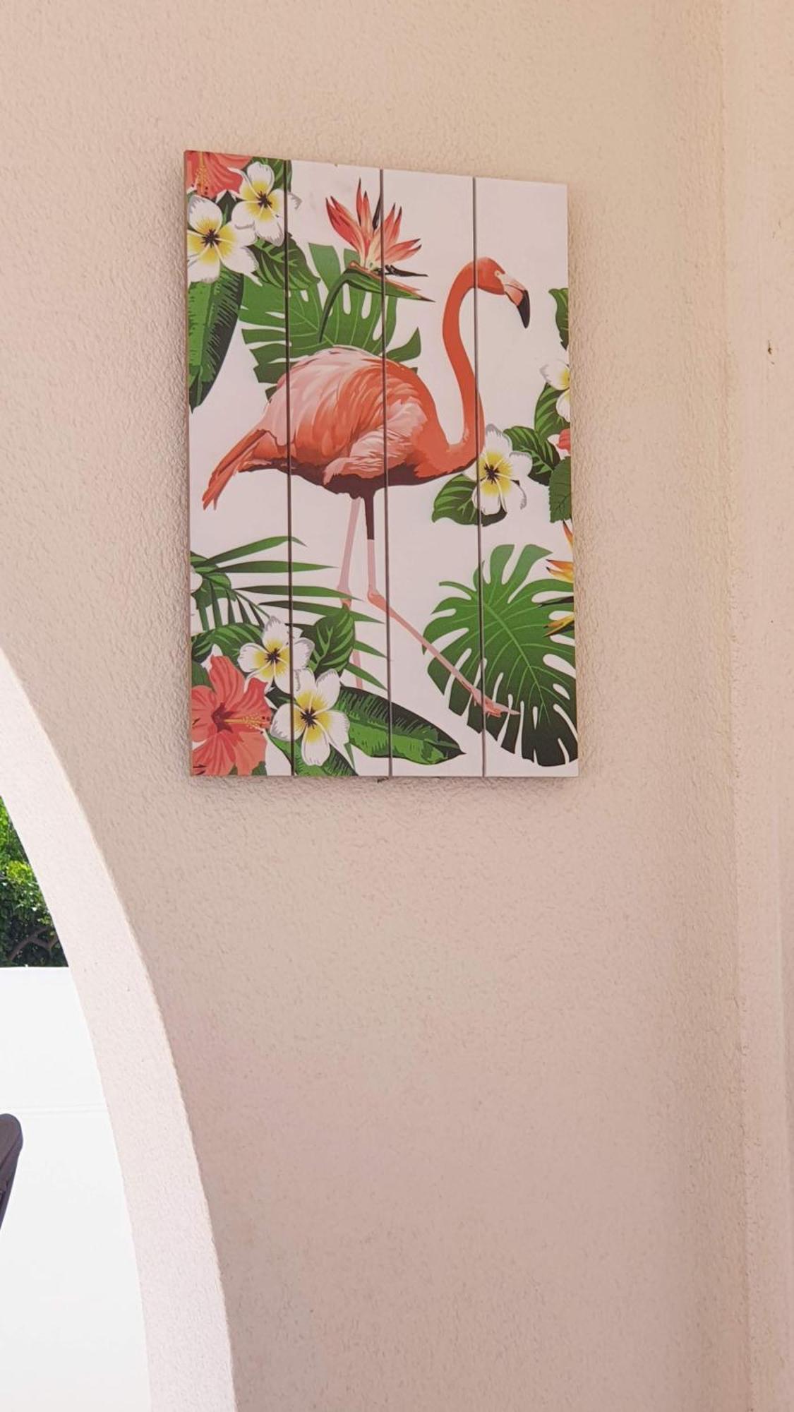 Flamingo Vila Alicante 圣佩德罗－德尔皮纳塔尔 外观 照片