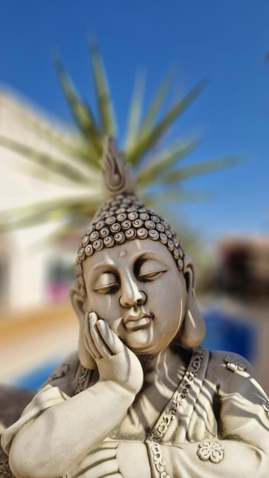 Flamingo Vila Alicante 圣佩德罗－德尔皮纳塔尔 外观 照片